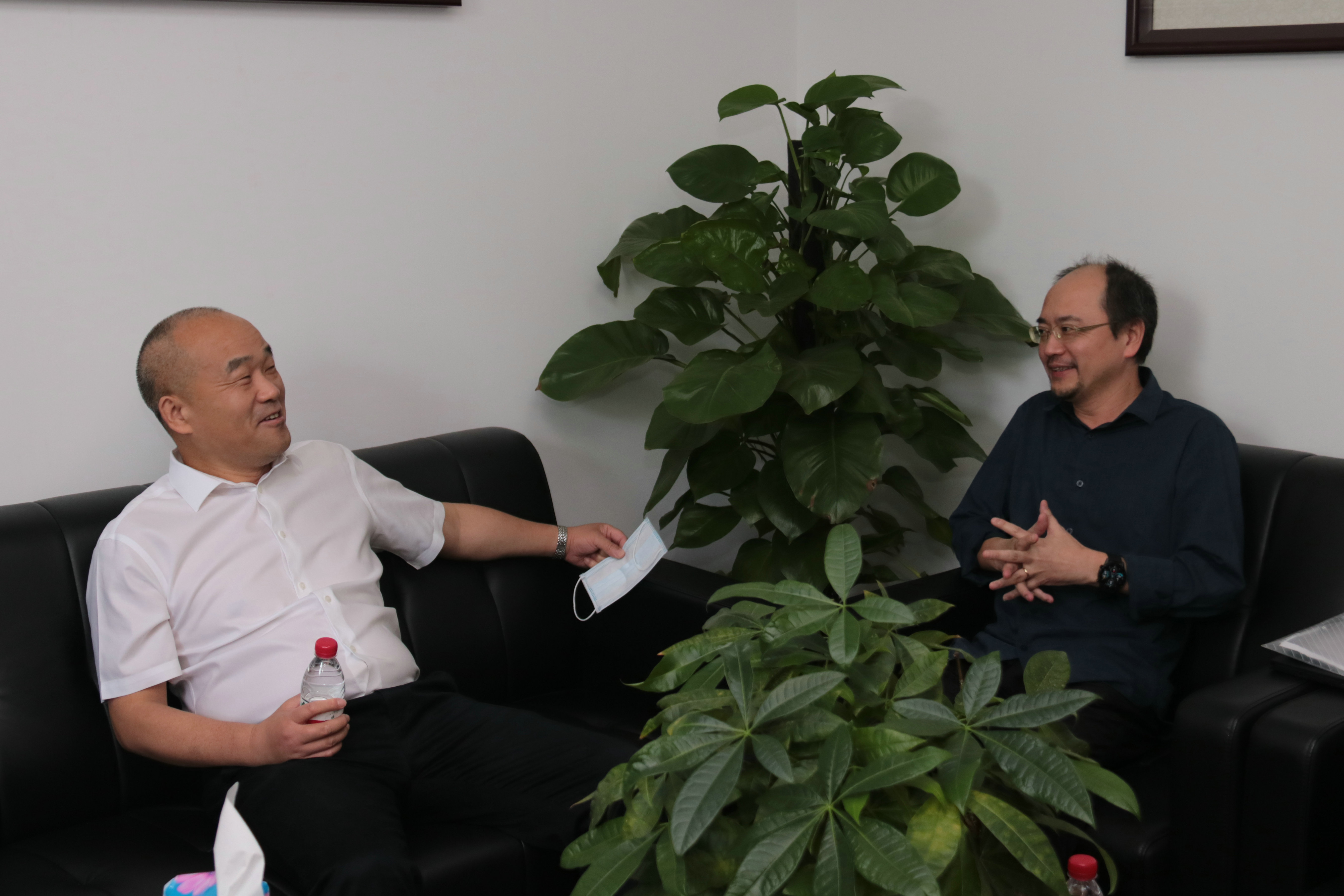 窦董事长.jpg